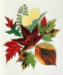 Autumn Leaves, 1858